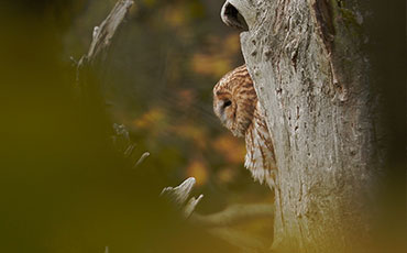 filmstill falschrum_02